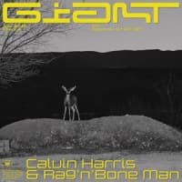 Calvin Harris, Rag'n'Bone Man