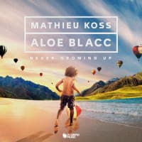 Mathieu Koss, Aloe Blacc