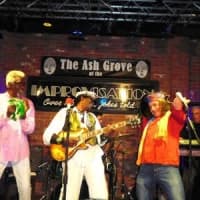 Crazy Tomes, Guitar Shorty, Swamp Dogg, The Chambers Brothers