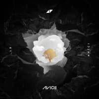 Avicii, Sandro Cavazza