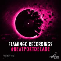 Fedde Le Grand, Mr V