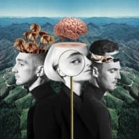 Clean Bandit, Zara Larsson