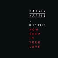 Calvin Harris, Disciples