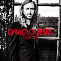 David Guetta, Sam Martin