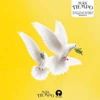 Skepta, Amy Winehouse