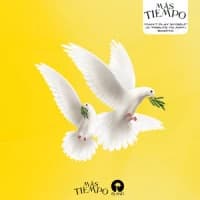 Skepta, Amy Winehouse