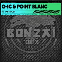 Q-IC, Point Blanc