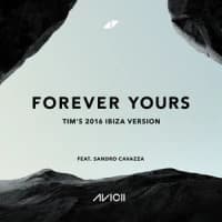 Avicii, Sandro Cavazza