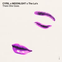 CYRIL, MOONLGHT, The La's