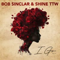 Bob Sinclar, Shine TTW