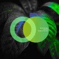 Baris Bayrak, Kostyn