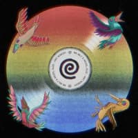 Mr. Belt & Wezol, RUZE