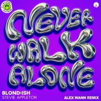 BLOND:ISH, Stevie Appleton, Alex Wann