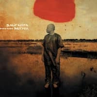 Salif Keita, Martin Solveig