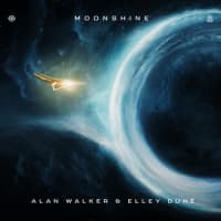 Alan Walker, Elley Duhé