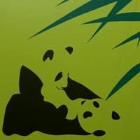 Fcukers, Confidence Man