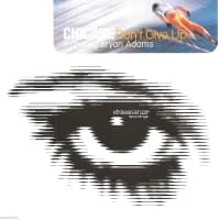 Chicane Feat. Bryan Adams - Don't Give Up
