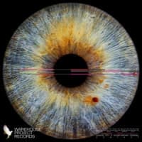 Gorgon City, Interplanetary Criminal