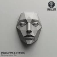 Baris Bayrak, Synthetik