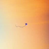 Chris Stussy, Tom Did It