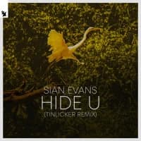Sian Evans, Tinlicker