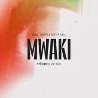 Zerb, Tiësto, Sofiya Nzau