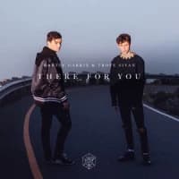 Martin Garrix, Troye Sivan