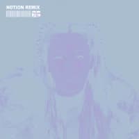 Chrystal, NOTION