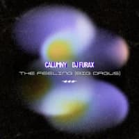Calumny, DJ Furax