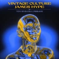 Vintage Culture, James Hype