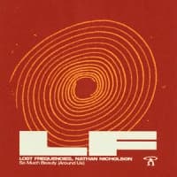 Lost Frequencies, Nathan Nicholson