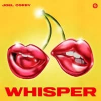 Joel Corry