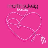 Martin Solveig