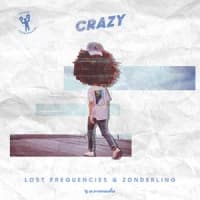 Lost Frequencies, Zonderling