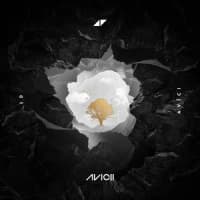 Avicii, Sandro Cavazza