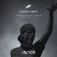 Avicii, MishCatt