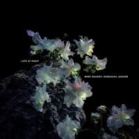 Mind Against, HUMAN404, Anakim