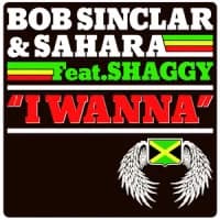 Bob Sinclar, Sahara, Shaggy