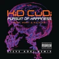 Kid Cudi, MGMT, Ratatat, Steve Aoki