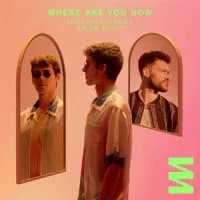 Lost Frequencies, Calum Scott