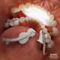RAYE, 070 Shake
