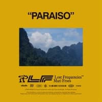 Lost Frequencies & Mari Froes