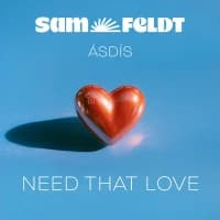 Sam Feldt & ÁSDÍS