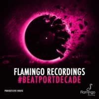 Fedde Le Grand, Mr V