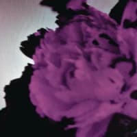 John Legend, Jason Agel, Tiësto